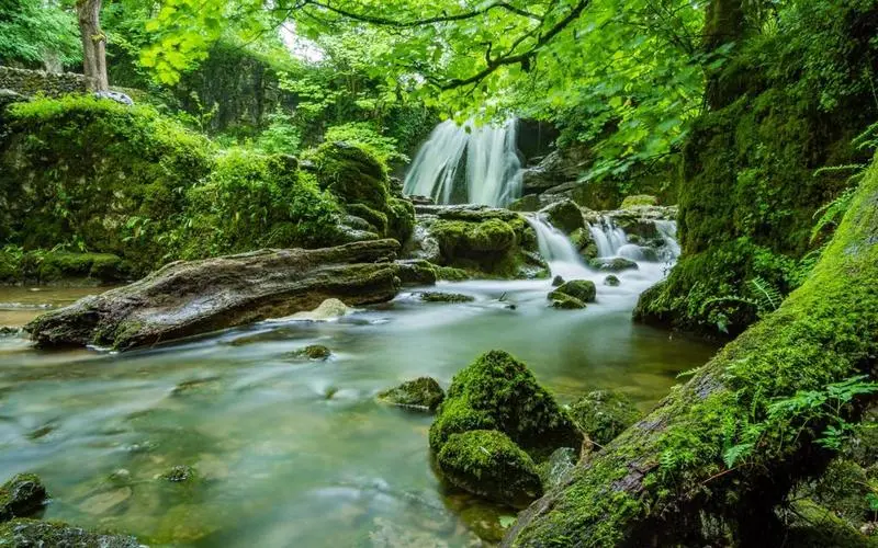 智慧高标准智能